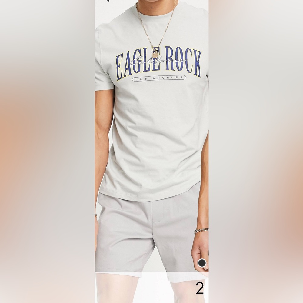 Slim fit chino shorts in light gray. NWOT